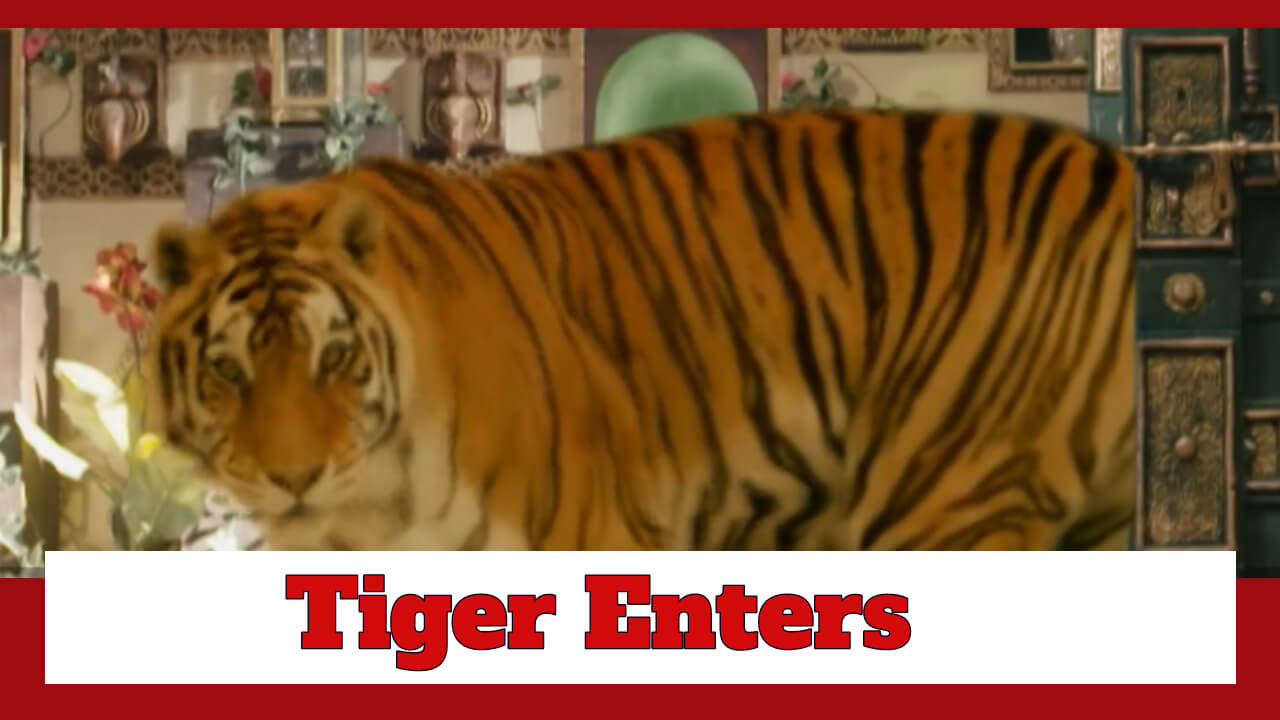 Pandya Store: OMG!! A real tiger enters Pandya house