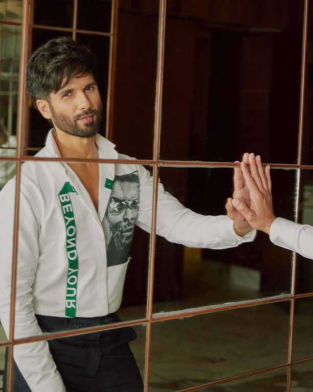 Revealed: Shahid Kapoor and Karisma Kapoor's 'mirror' connection 774190