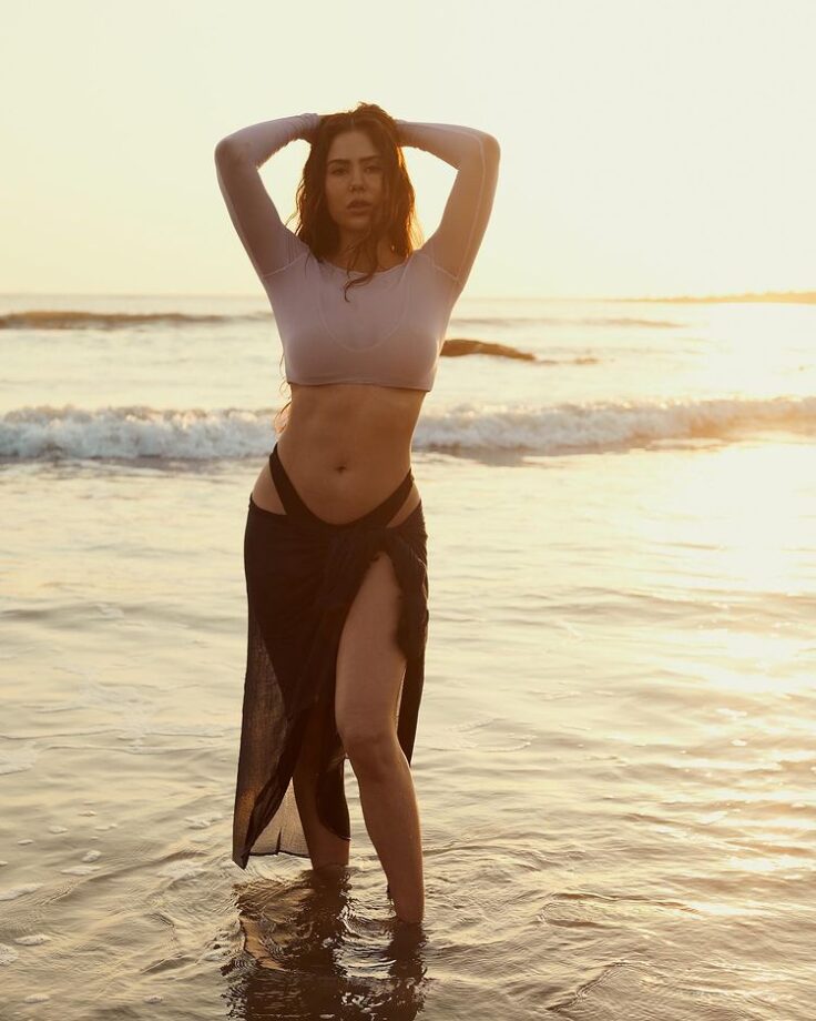 Sonam Bajwa flaunts curvaceous midriff at beach, we are sweating 777486