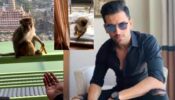 Viral Video: A Monkey-Robbed Cricketer Deepak Chahar Inside His Room; Netizens React 767480