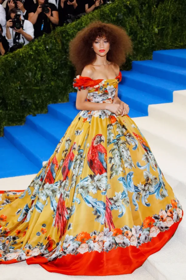 5 Times Zendaya Coleman Looked Spectacular In Gowns 788453