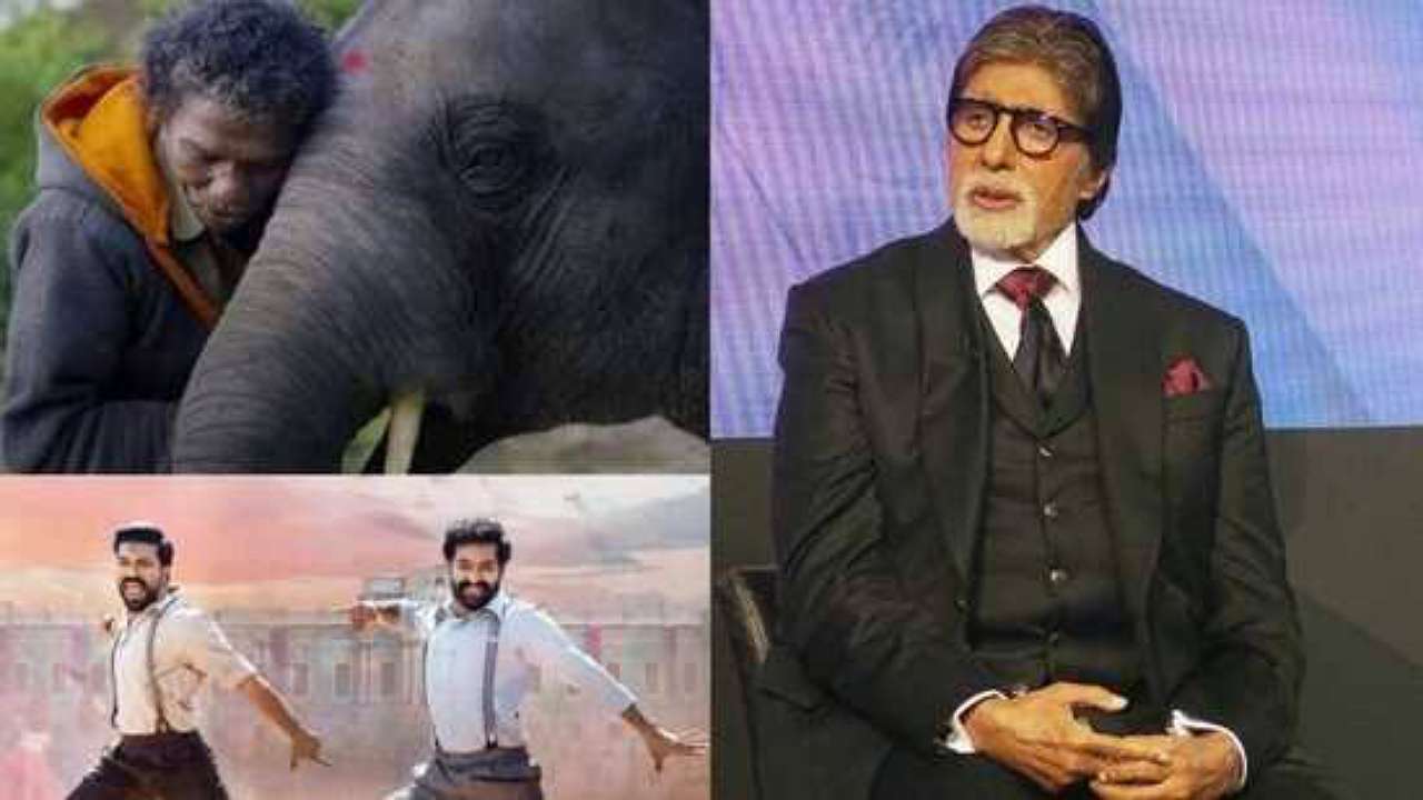 Amitabh Bachchan reacts to Oscar glory of Naatu Naatu and The Elephant Whisperers, check out 784656