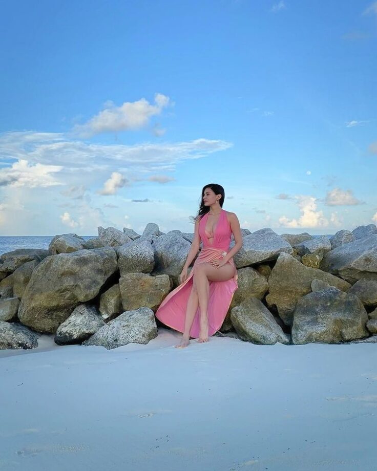 Amyra Dastur VS Shalini Pandey: Who Is Breathtaking In Pink Monokini? 782895
