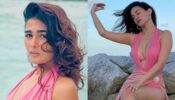 Amyra Dastur VS Shalini Pandey: Who Is Breathtaking In Pink Monokini? 782901