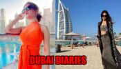 Avneet Kaur To Mouni Roy: Is Dubai A Second Home For TV Celebs? 786314