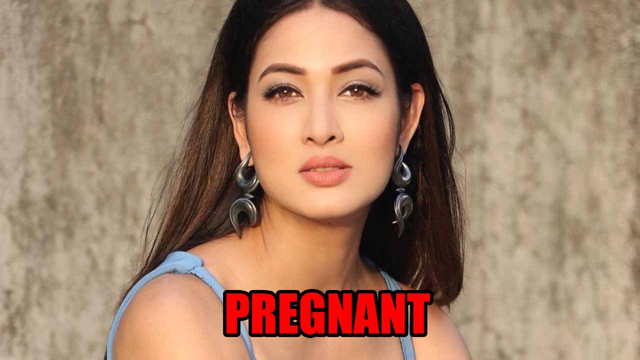 Bhabiji Ghar Par Hai actress Vidisha Srivastava is pregnant 786517