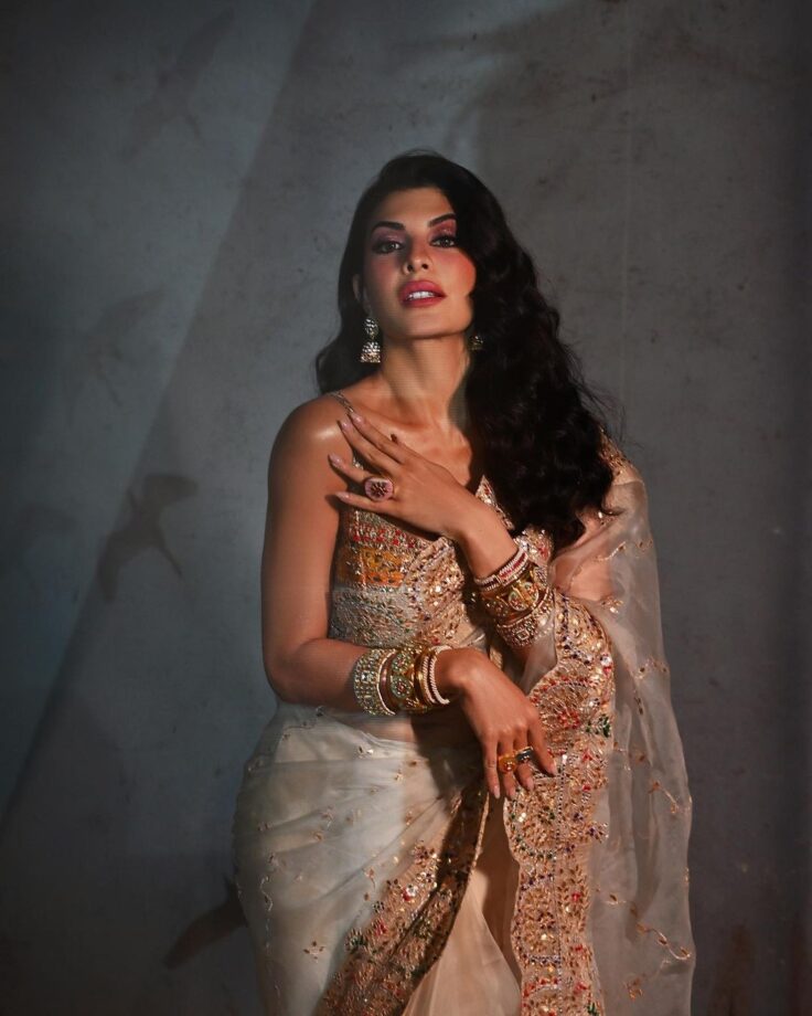 Check Out: Jacqueline Fernandez Made Fashion Statements In Saree Outfits 790730
