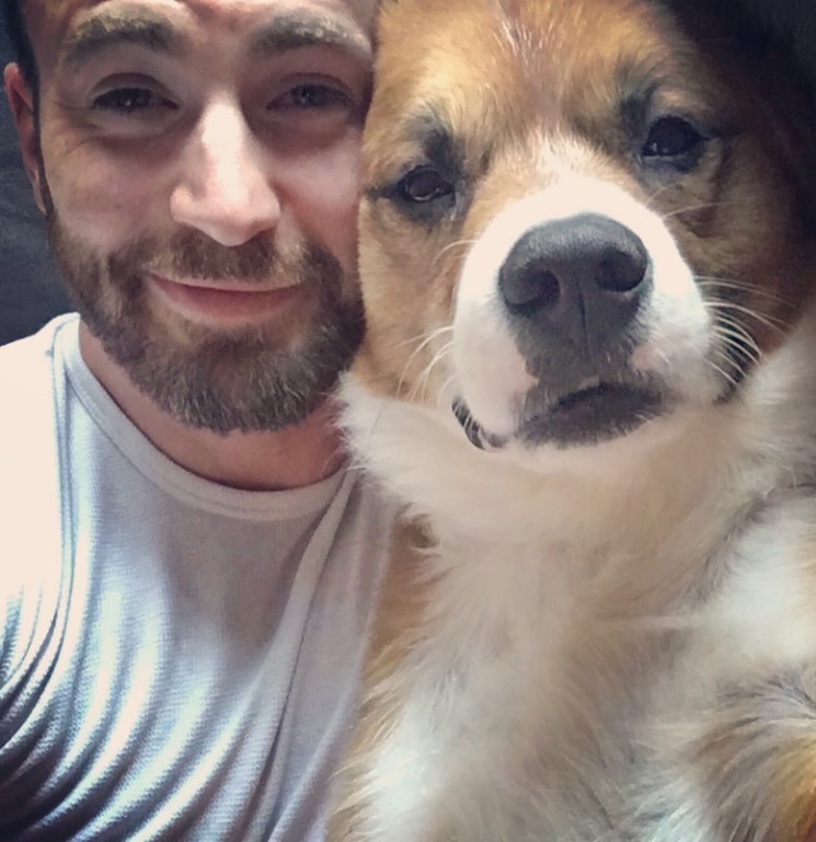 Chris Evans And His Dogs: A Timeline Of Their Awesome Friendship; Check Now! 790678