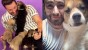 Chris Evans And His Dogs: A Timeline Of Their Awesome Friendship; Check Now! 790681