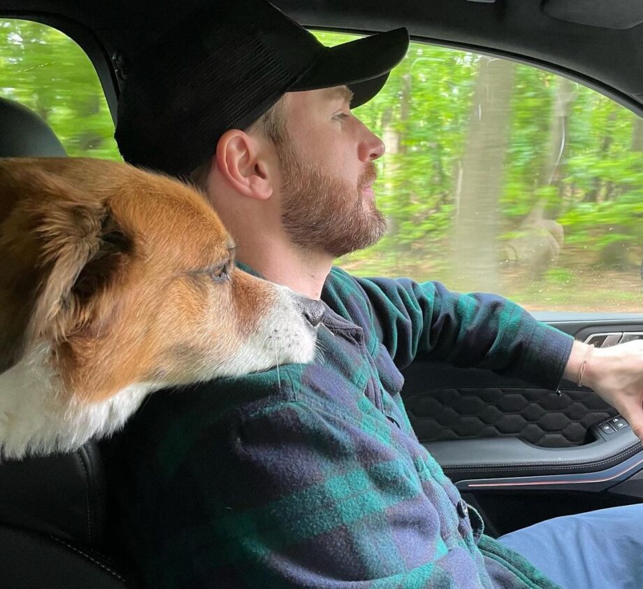 Chris Evans And His Dogs: A Timeline Of Their Awesome Friendship; Check Now! 790677