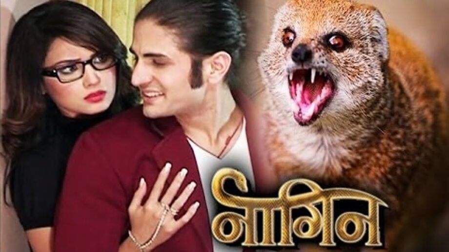 Creature-Feature: TV Actors Who Turned Animals And Birds On-Screen 786593