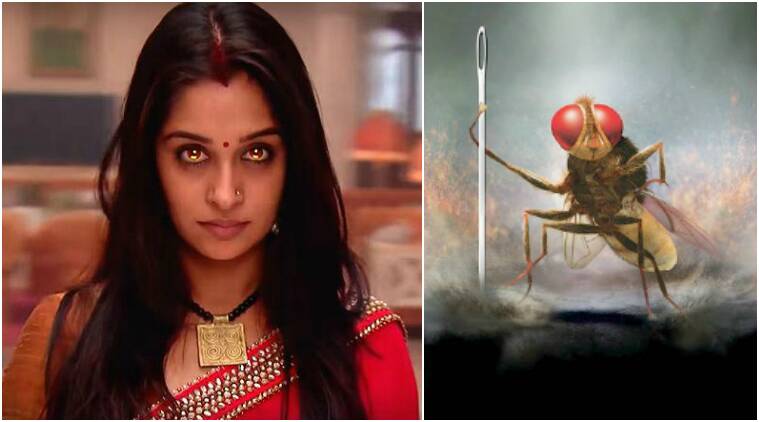 Creature-Feature: TV Actors Who Turned Animals And Birds On-Screen 786594
