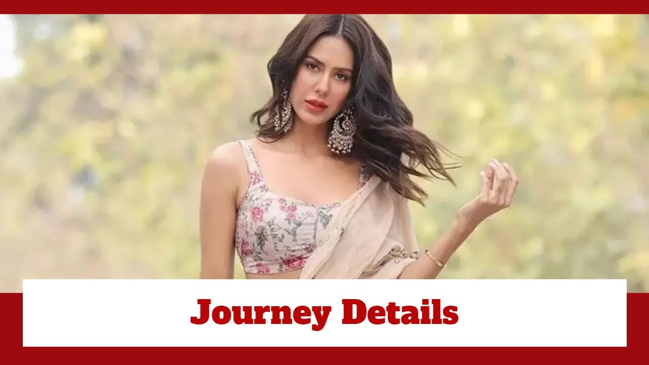 From Being An Air Hostess To Model And Actor: Sonam Bajwa's Journey Is Before You 785931