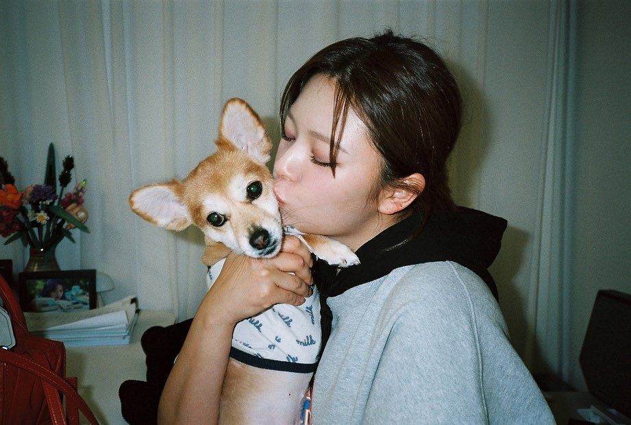 Here's Proof That The K-pop Girls Are Adoring Dog Moms; See Pics 789932