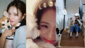 Here's Proof That The K-pop Girls Are Adoring Dog Moms; See Pics 789936