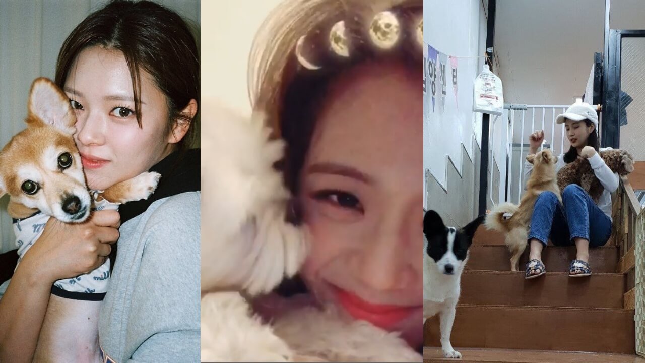 Here's Proof That The K-pop Girls Are Adoring Dog Moms; See Pics 789936