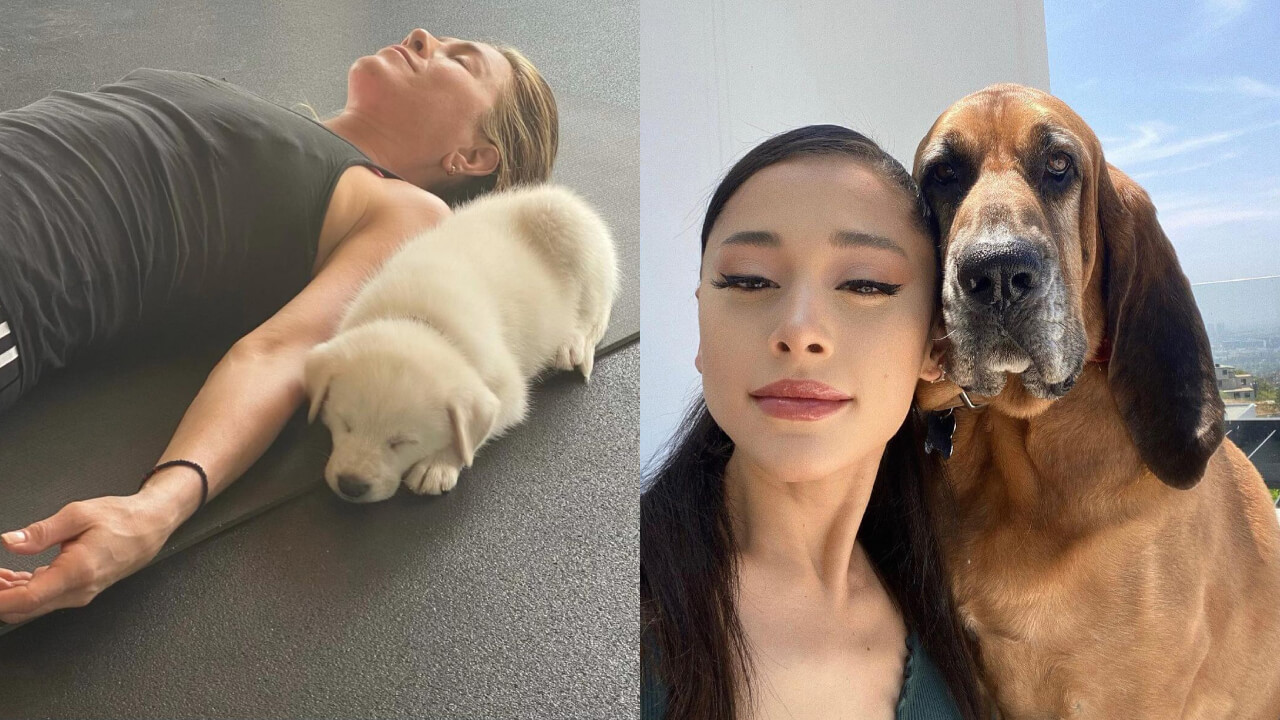 Jennifer Aniston-Ariana Grande: Did You Know These Celebs Love Dogs?