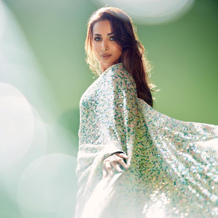 Malaika Arora's Sizzling Ethnic Drapes Every Girl Should Have 784859