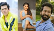 Nakuul Mehta-Raj Anadkat: What Are They Doing After Quitting Popular Shows? 792103