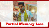 Pandya Store: OMG!! Shiva to have partial memory loss; to forget marriage to Raavi 785378