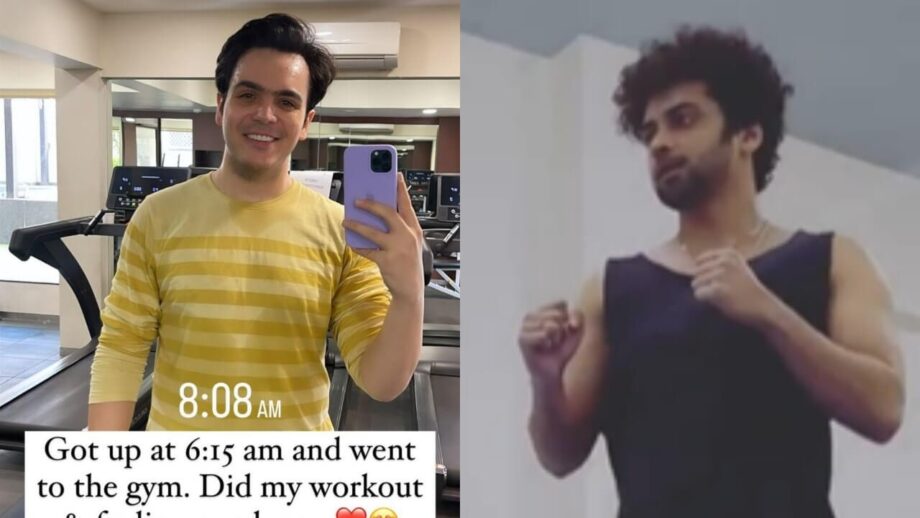 Raj Anadkat and Sumedh Mudgalkar's 'Sunday special' fitness swag 783913