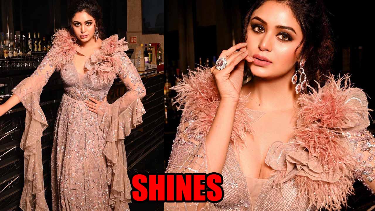 Ritabhari Chakraborty Shines Like A Diamond In Gown Embellished Gown, See Photos 778764