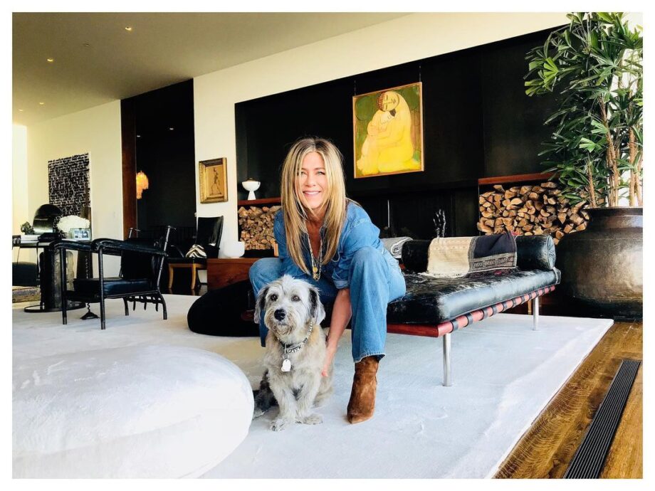 Sneak Peek Into Jennifer Aniston's Expensive Home In LA 790513