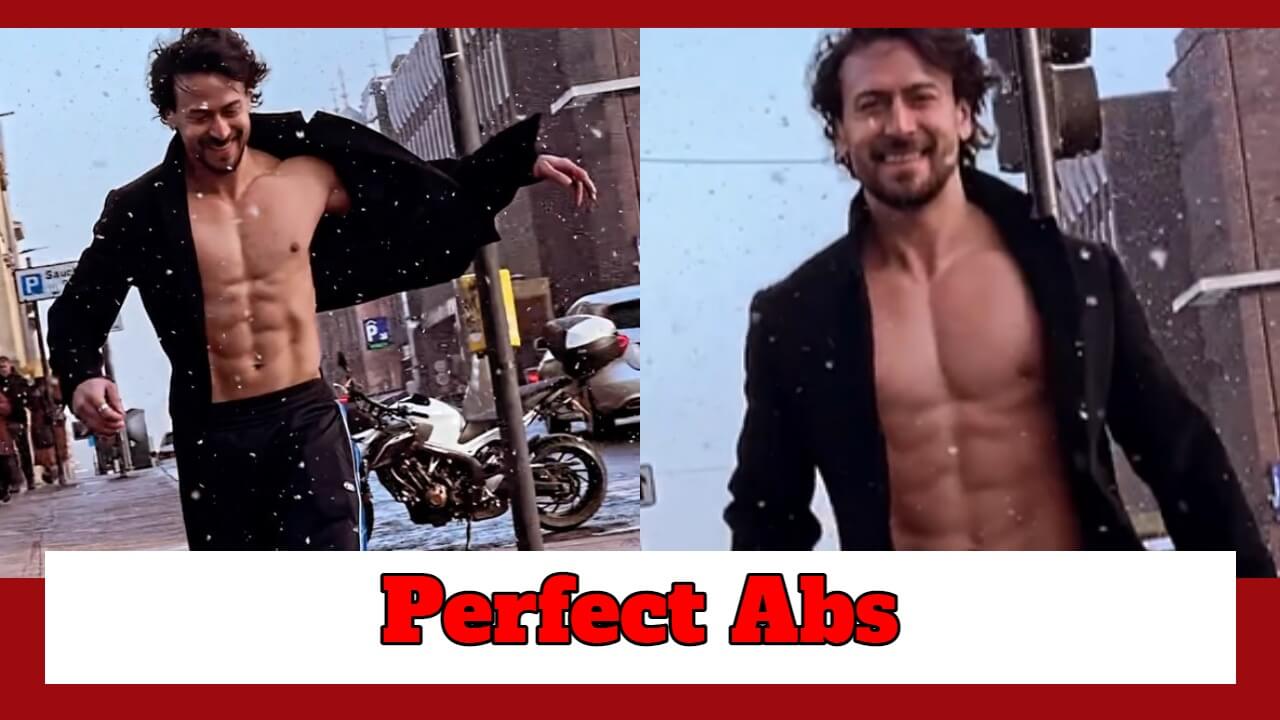 Tiger Shroff Shows His Perfect Six-Pack Abs Amid A Crazy Snow Storm; Check Here 785004