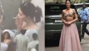 Trending: Was Ananya Panday caught on camera smoking at cousin Alanna Panday's mehendi ceremony? 785274