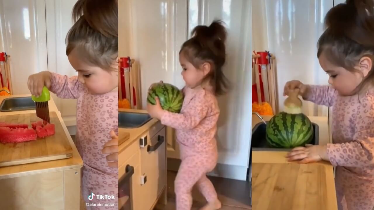 Viral Video: An Adorable Baby Girl Cutting Watermelon Will Make You Go 'Aww' 783193