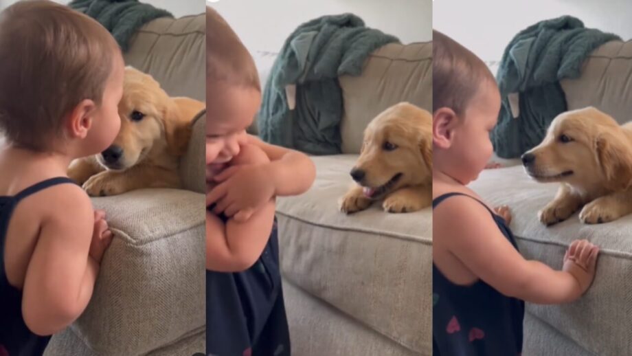 Viral Video: An Adorable Toddler Showers A Dog With Kisses; Will Melt Your Heart 787997