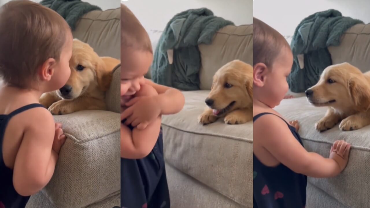 Viral Video: An Adorable Toddler Showers A Dog With Kisses; Will Melt Your Heart