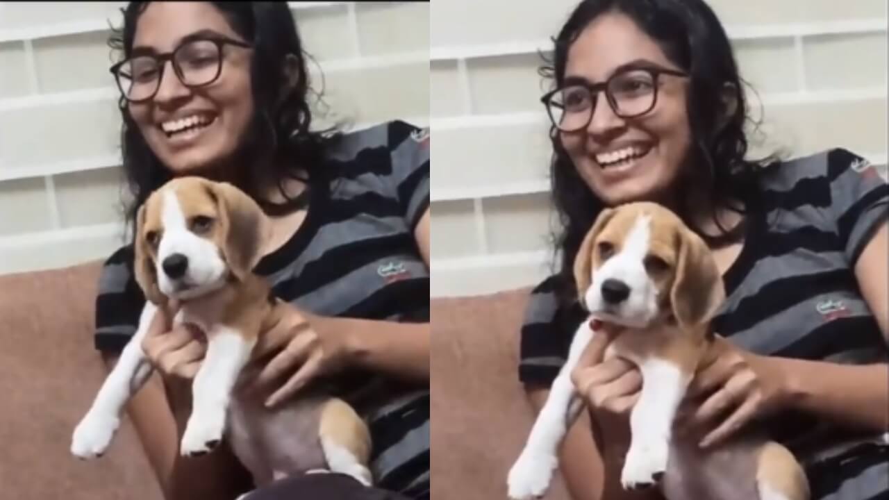 Viral Video: Anand Mahindra Shared Cute Clip Of A Dog Vibing To Classical Music 784657