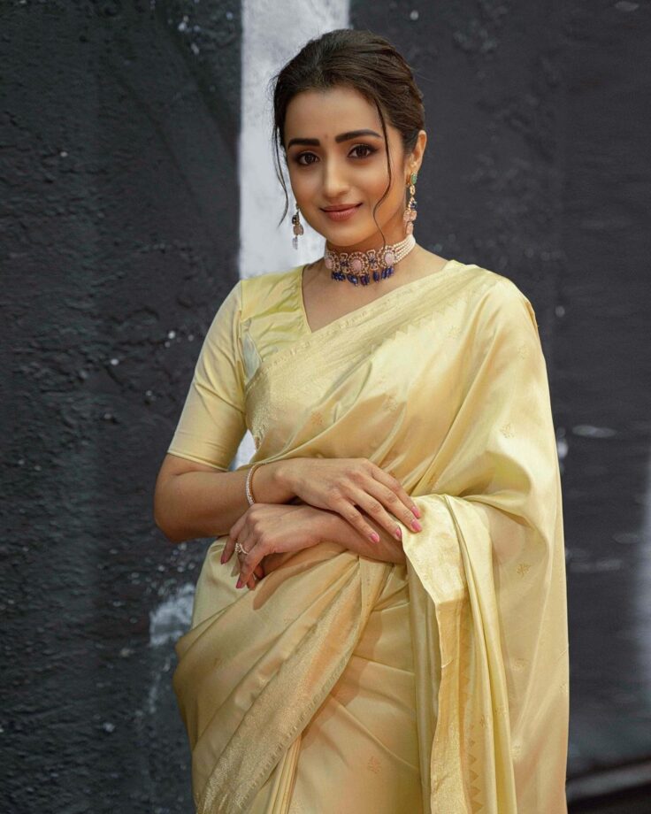 5 Times Trisha Krishnan Proved Her Ethnicity In Gorgeous Sarees 801365