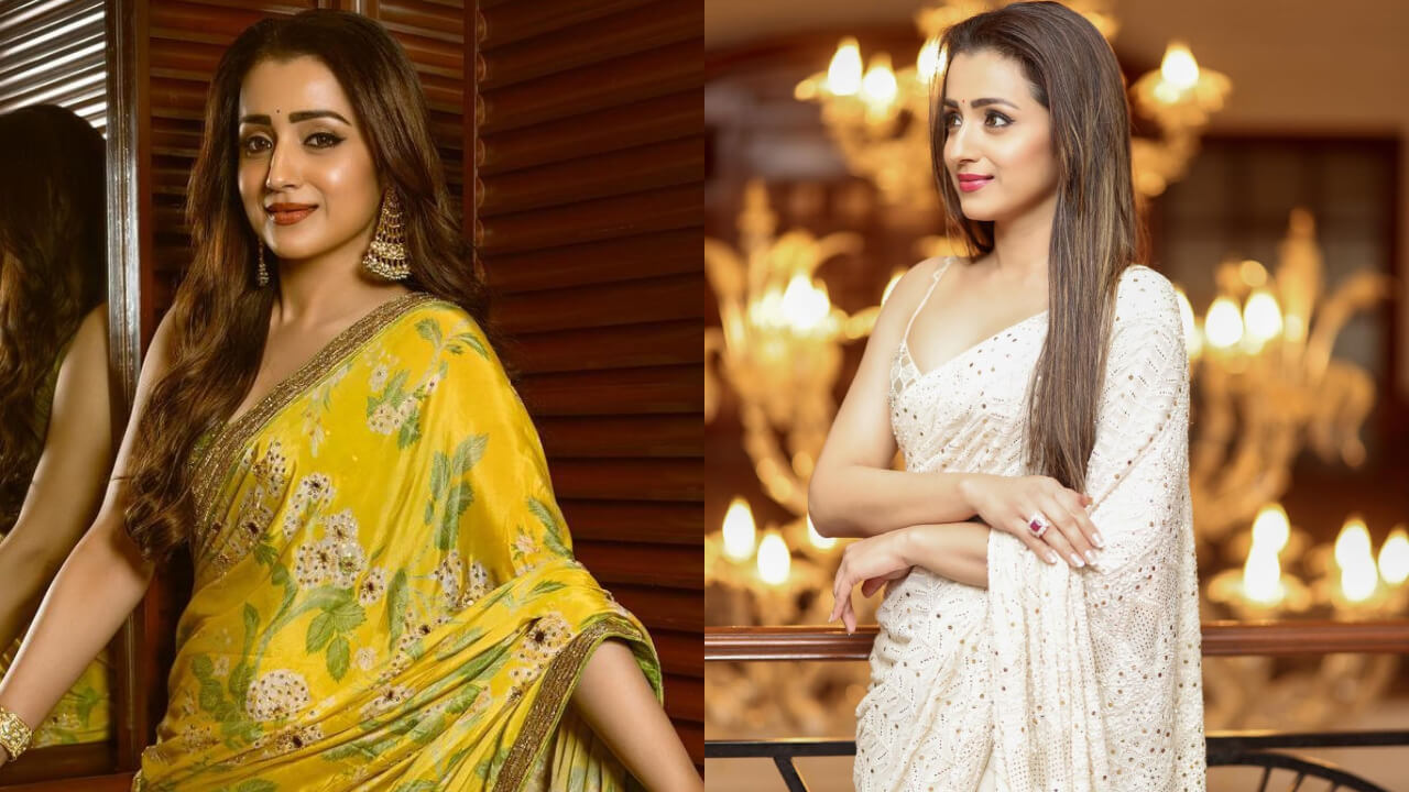 5 Times Trisha Krishnan Proved Her Ethnicity In Gorgeous Sarees 801366