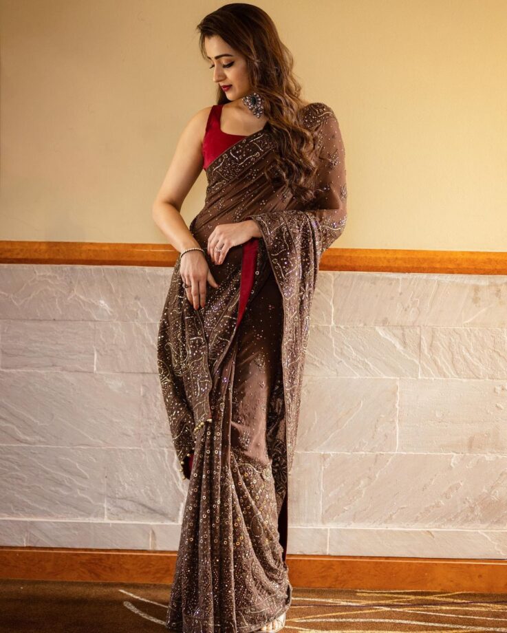 5 Times Trisha Krishnan Proved Her Ethnicity In Gorgeous Sarees 801360