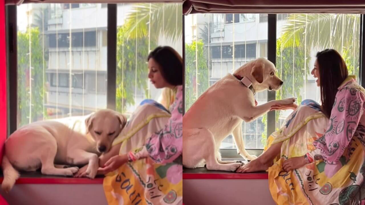 Divyanka Tripathi loves her 'paw buddy' unconditionally, (cute video alert) 798144