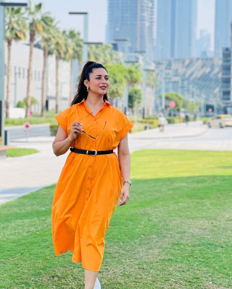 Divyanka Tripathi's yummy 'mango avatar' is too beautiful, fans love it 792943