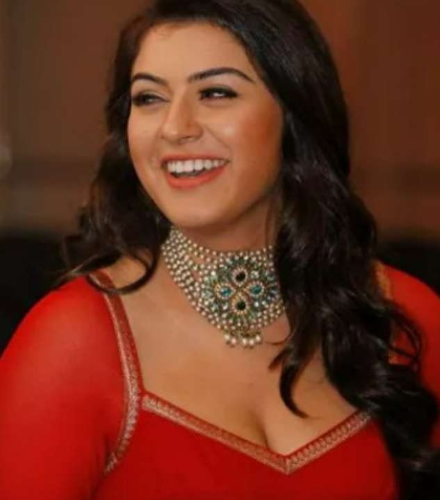 In Photos: Hansika Motwani’s weight loss journey will keep you motivated 799645