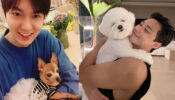 Lee Min Ho-Park Seo Joon: K-drama Stars And Their Cute Pets 799980