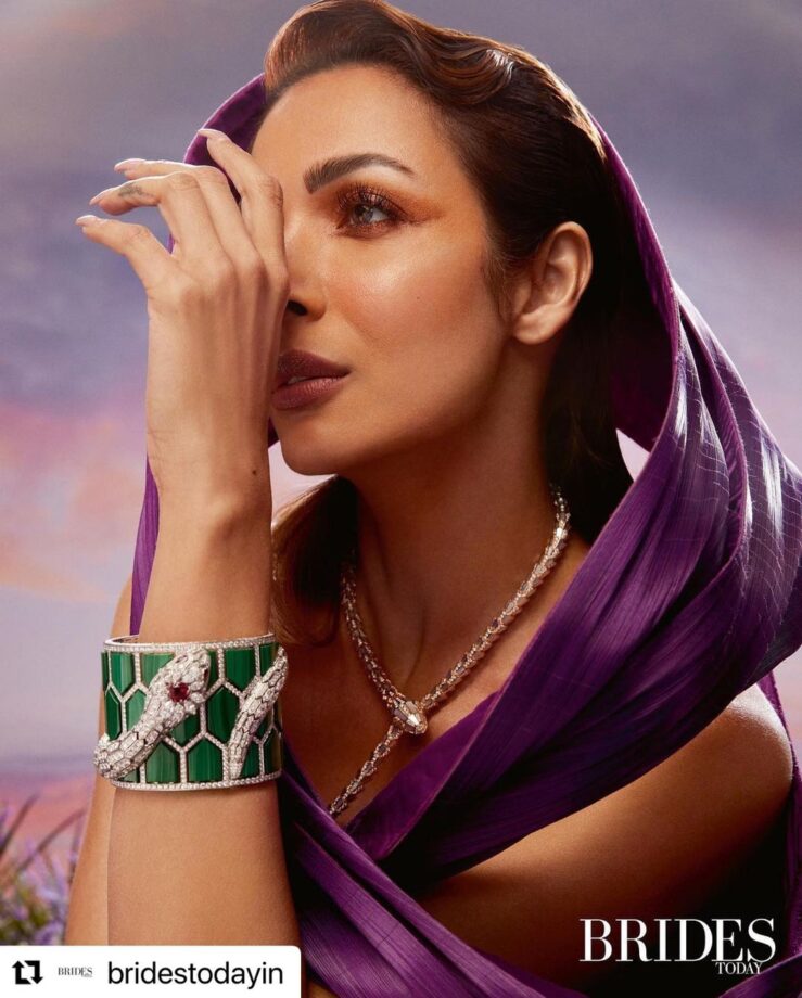 Malaika Arora is goddess in her designer sheer purple gown, see pics 794170