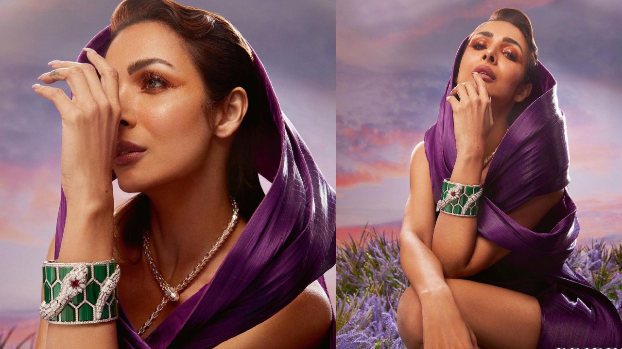 Malaika Arora is goddess in her designer sheer purple gown, see pics 794171