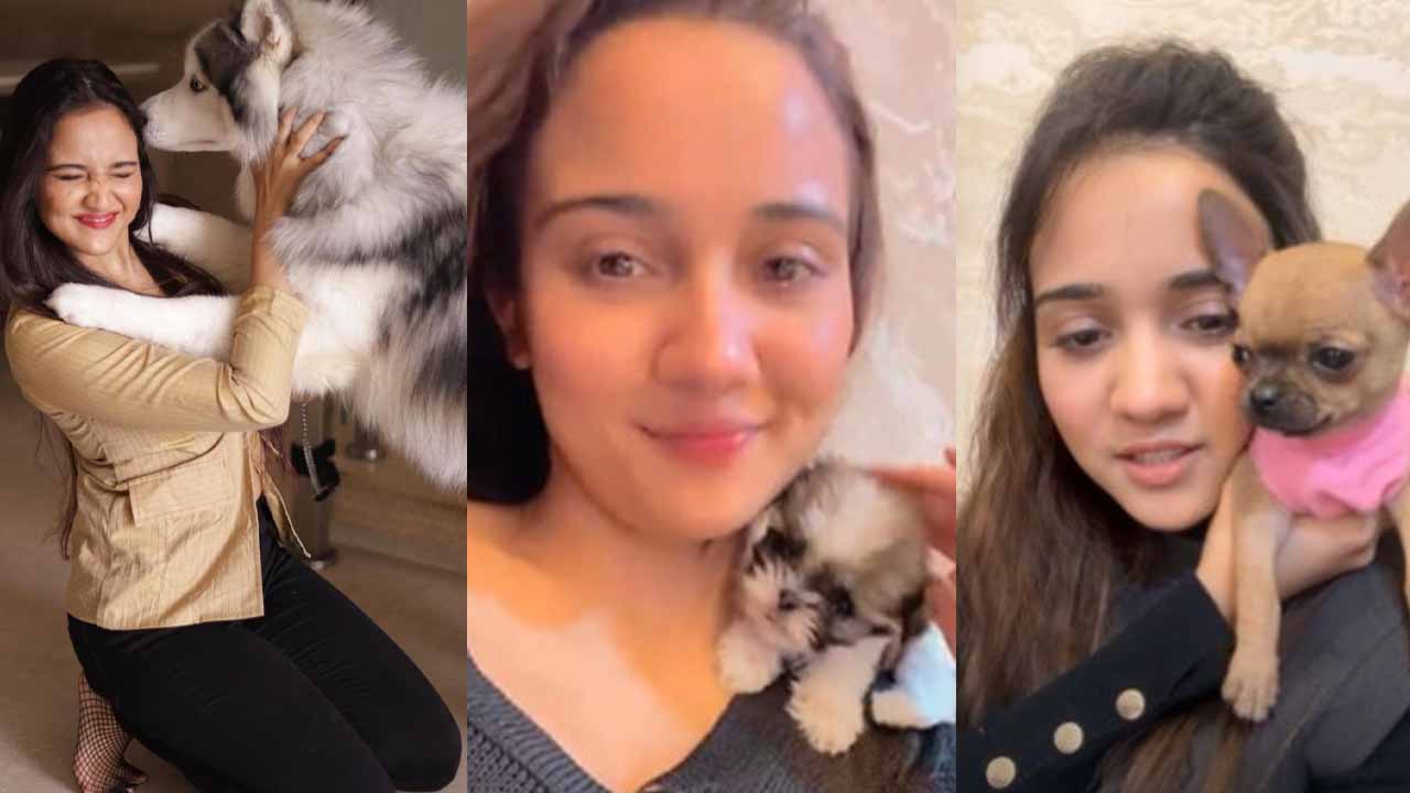 My pets Tilly, Joey, and Dobby have become an integral part of my life: Ashi Singh 795409