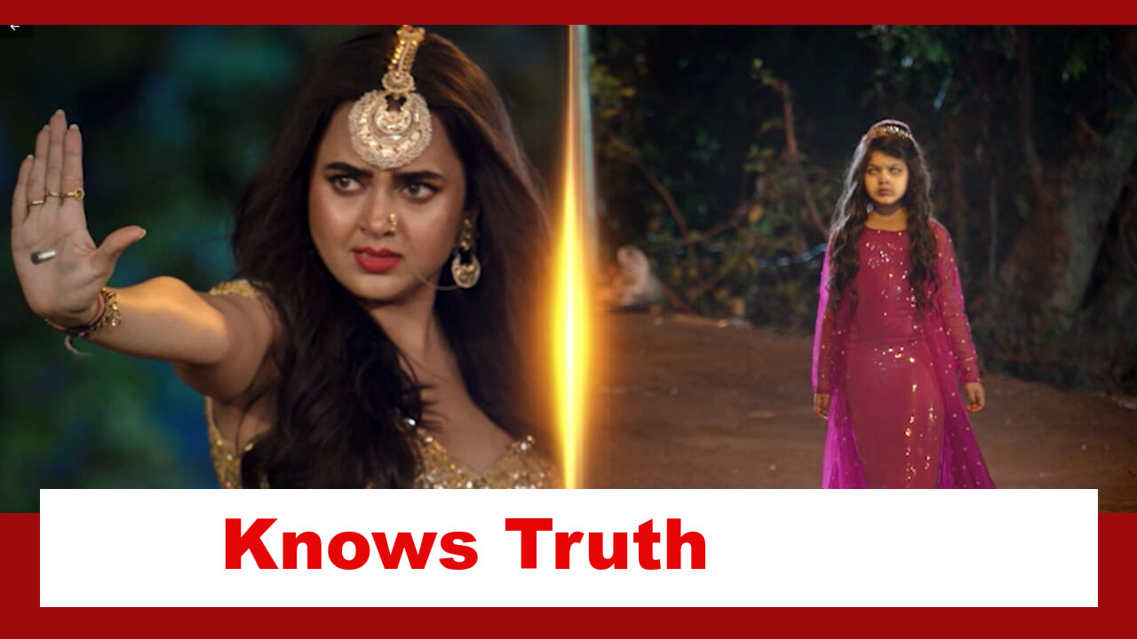 Naagin 6: Prarthana to know about Meher being her daughter 797784