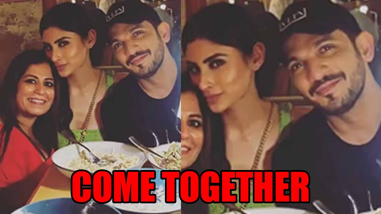 Naagin couple Arjun Bijlani and Mouni Roy come together, find out why   799956