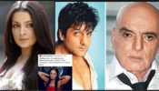 Netizen accuses Celina Jaitly of 'sleeping' with actor Fardeen Khan and his father, actress reacts 795814