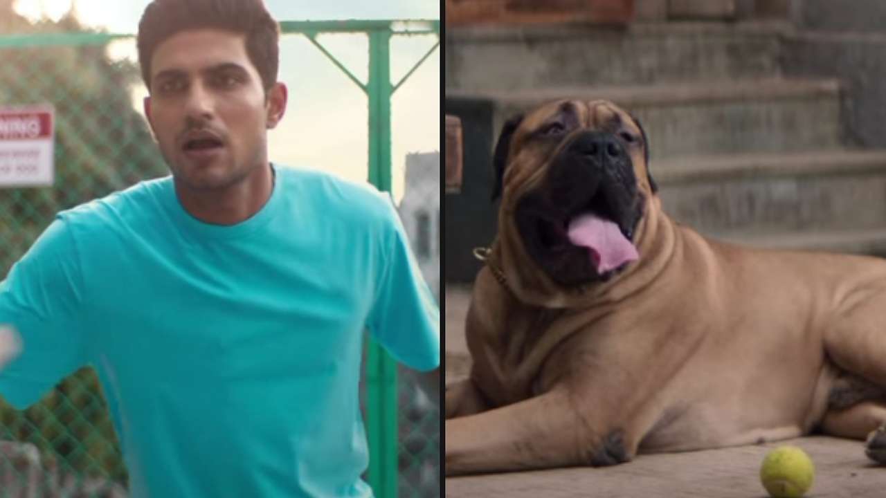 OOPS: Indian cricketer Shubman Gill makes lucky escape from dog attack, check plot twist 798719