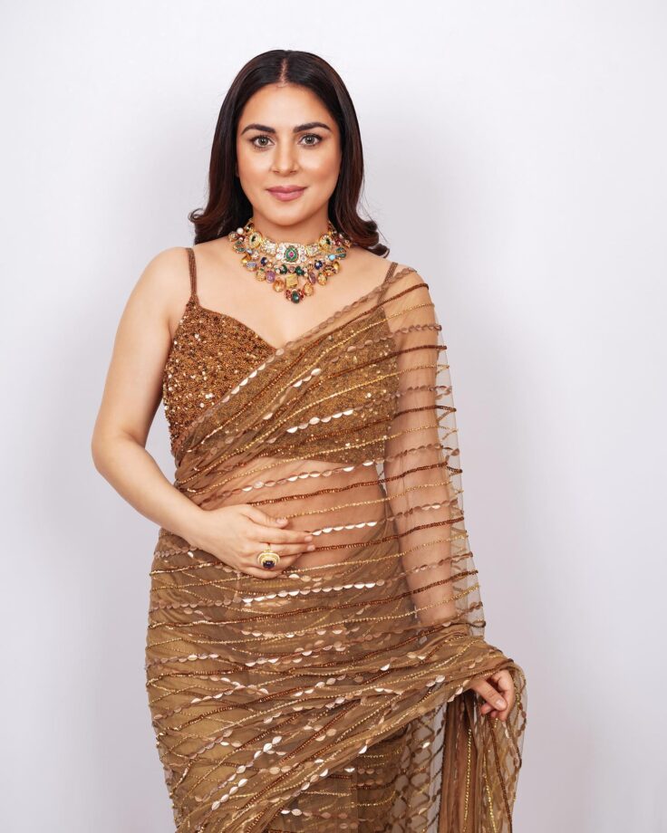 Shraddha Arya Can't Style Her Saree Look Without This One Thing, Check Now 795729