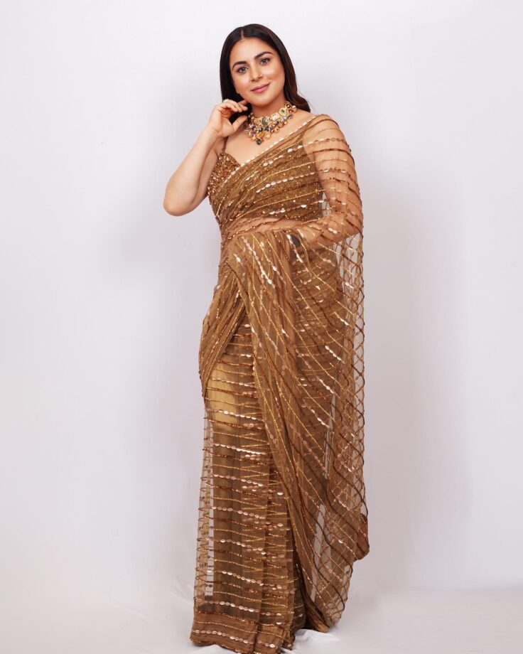 Shraddha Arya Can't Style Her Saree Look Without This One Thing, Check Now 795731