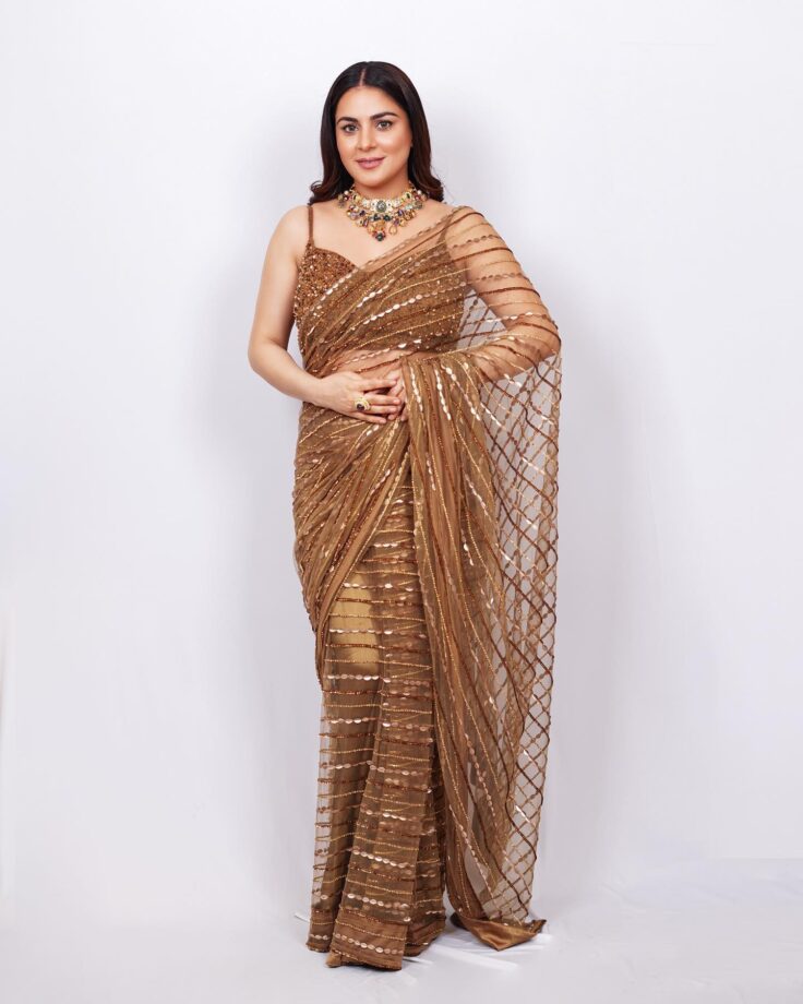 Shraddha Arya Can't Style Her Saree Look Without This One Thing, Check Now 795733